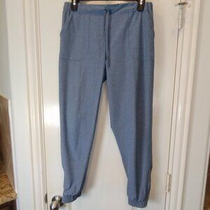 Albion Jettsetter Joggers Heathered Blue Size S